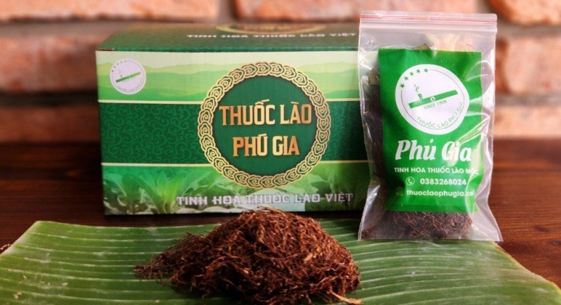 Thuốc lào mộc có mùi thơm dễ chịu từ lá