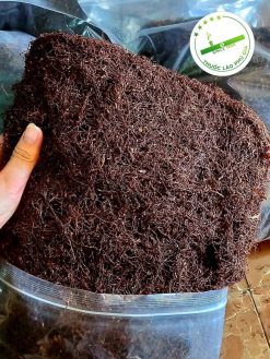 Phú Gia là địa chỉ uy tín cung cấp thuốc lào mộc