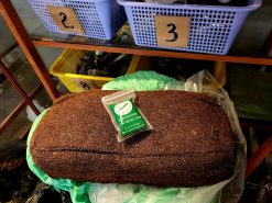 20220418 105616 scaled