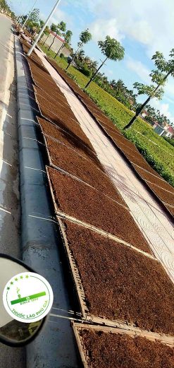 z3964309817722 946af53c7529ef59df12999e9404b6b0