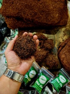 z4197683809390 d173aed49cd97ed765dd1cdc78148cc8