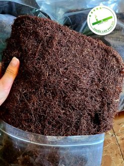 z4197681261293 8dad62e2d840e9b312782d39f7ef8369