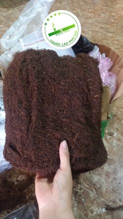 z4197681358775 791764060edf03ba5e8521777ae92928