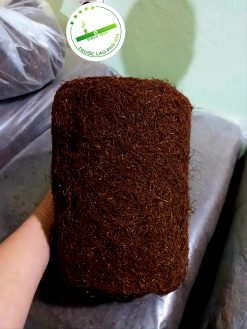 z4197681364203 e5bb24a8052f81cfacc81e3a74b81880