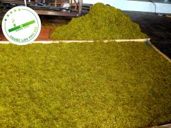 z3853995665754 03ad2c485910a75493b62bb7537110c7