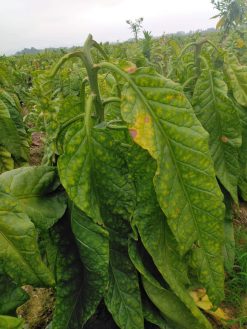 z3853995667282 1061d84d5d357a1d806f6b7d8e286d70