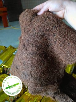 z3853995673491 6ad6afa18303019c86a4fae021e31535