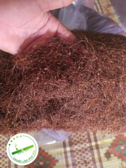 z3853995674880 0c83969b0a3112fa3c34695cb6853e18