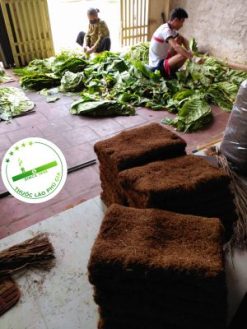 z3853995716162 329132abf0c3ce4aba9756468114a594 e1670248412731