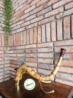 z4512019369467 f36ac1ade55d766676515a7263fb25cc