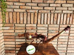 Dieu cay rong cuon D09 03