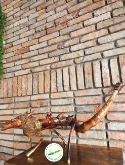 Dieu cay rong cuon D09 08