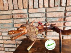 Dieu cay rong cuon D09 09