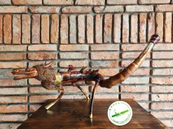 Dieu cay rong cuon D09 10