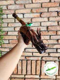 Bộ điếu cày tre gai thiên long tọa sơn D012