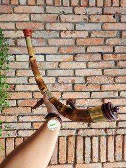 Điếu cày tre gai dáng cong tôm C10