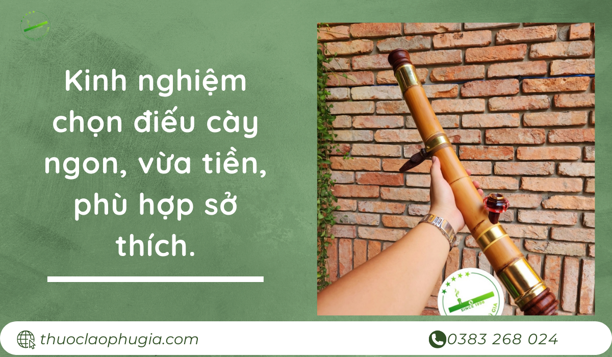 Kinh nghiệm chọn điếu cày ngon, vừa tiền, phù hợp sở thích