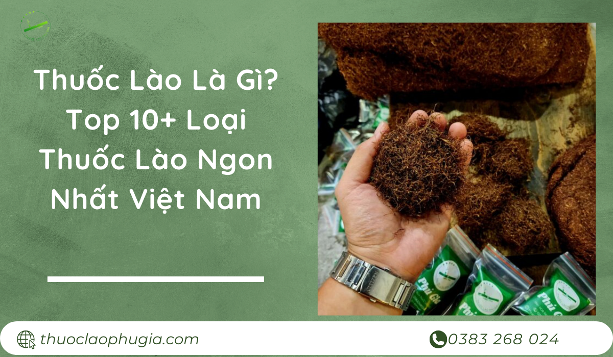 Thuốc Lào Là Gì_ Top 10+ Loại Thuốc Lào Ngon Nhất Việt Nam