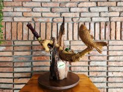 Bộ điếu cày Lý Ngư Hóa Long D14