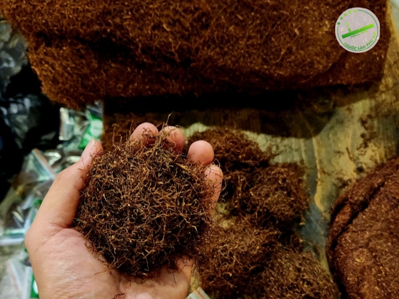 Vì sao thuốc lào dễ bị khô – mốc – bay hơi? 