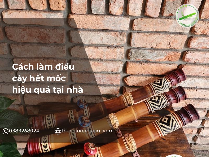 Cách làm điếu cày hết mốc hiệu quả tại nhà | Chia sẻ mẹo xử lý đơn giản