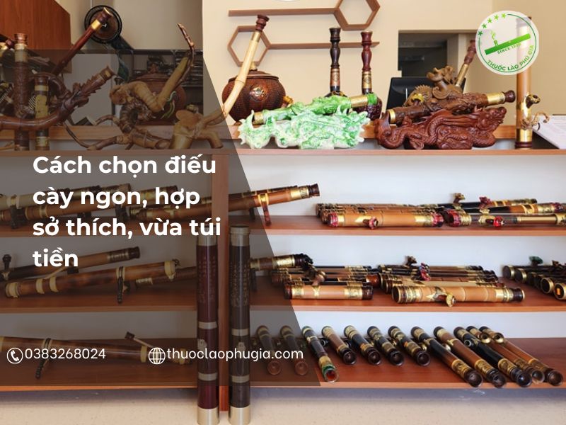 5 Cách chọn điếu cày ngon, hợp sở thích, vừa túi tiền