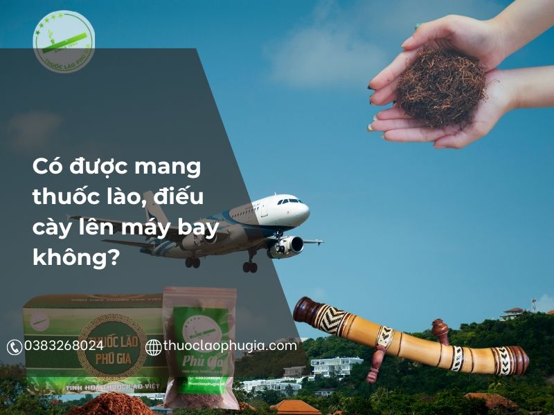 Có được mang thuốc lào, điếu cày lên máy bay không? Giải đáp chi tiết từ A–Z