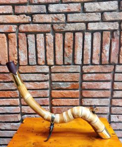 z7441157508934 9061d475a13aba0c10a43ff0c61e6d3a