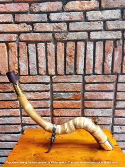 z7441157508934 9061d475a13aba0c10a43ff0c61e6d3a