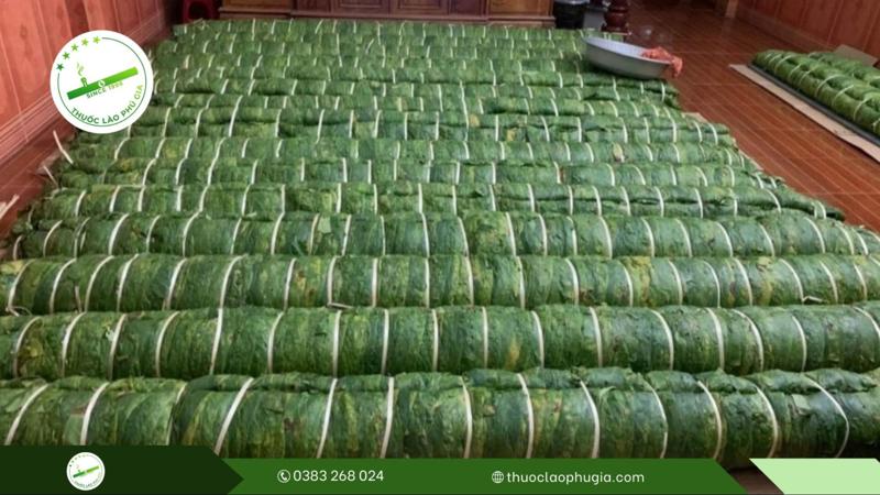 Hướng dẫn cách chế biến thuốc lào ngon: Quy trình làm thuốc lào Thanh Hóa có gì đặc biệt? 3 cách làm thuốc lào